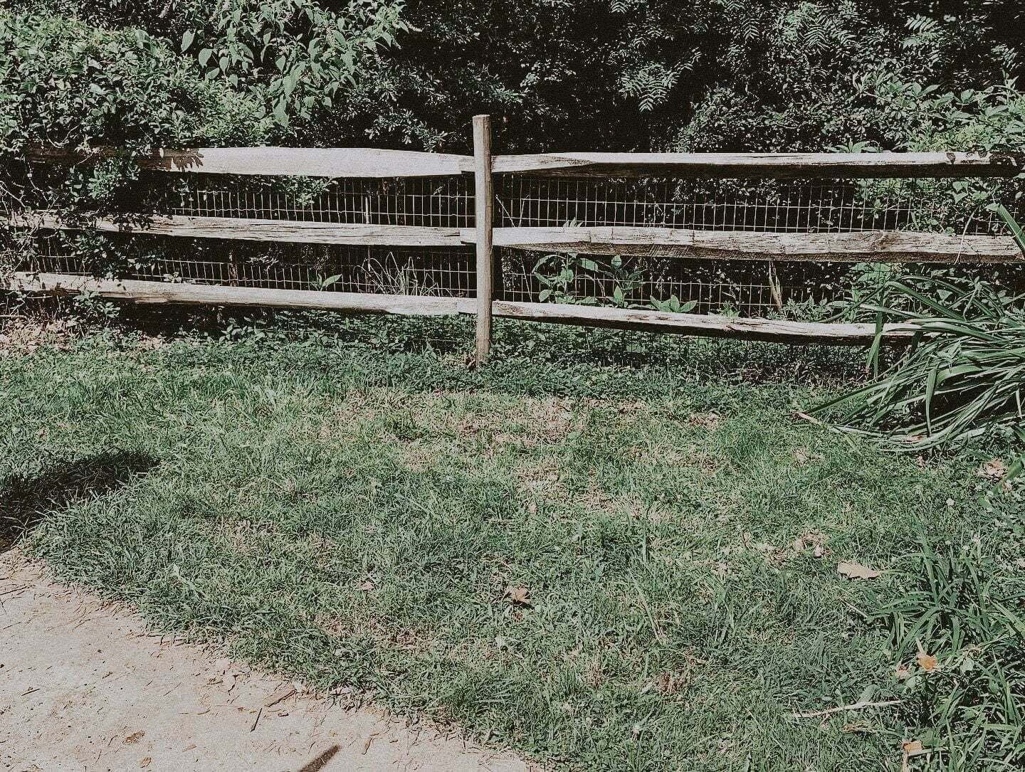 BA-A6_compressed after