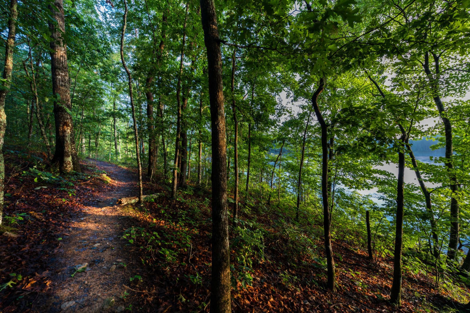 Cherokee-County